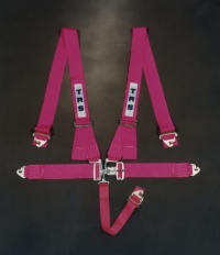 TRS Nascar Harness